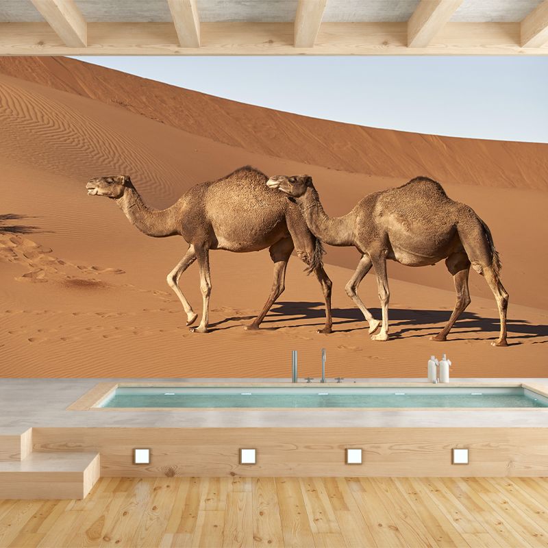 Photography Camel Mural Wallpaper for Sitting Room Decor Multiple Sizes Available