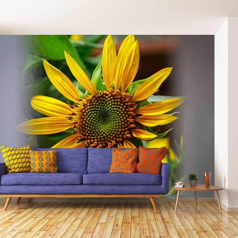 Sunflower Yellow Color Mural Wallpaper for Sleeping Room, Stain Resistant