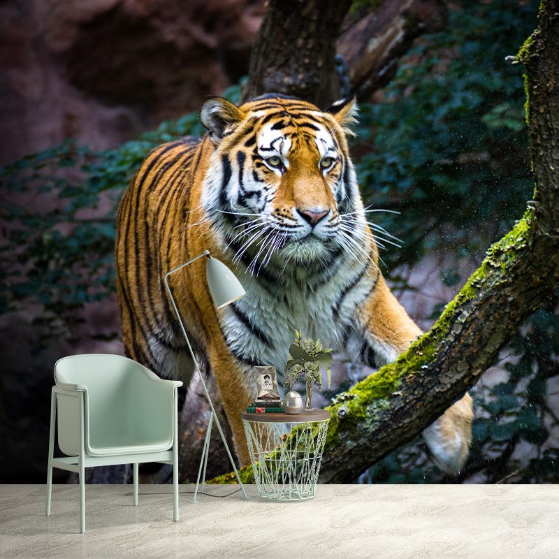 Handsome Tiger Mural Contemporary Photography for Living Room Decoration