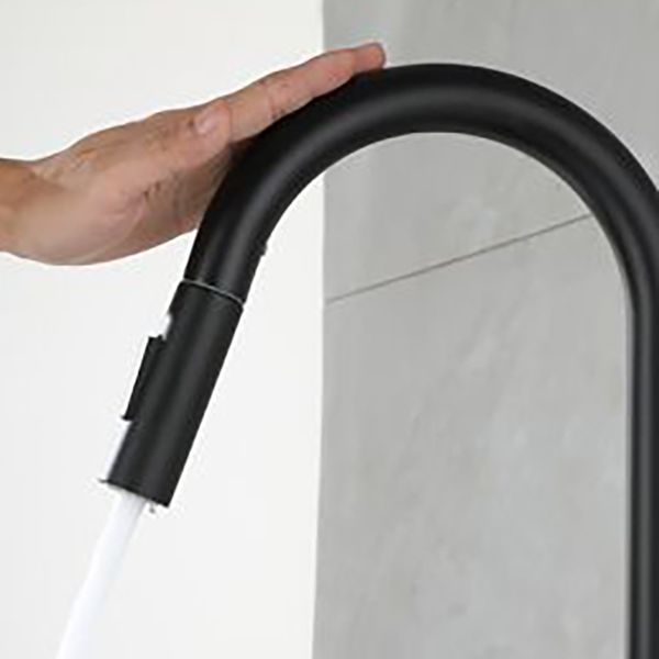 Modern Pull down Sprayer Water Filler One Handle High Arch Kitchen Faucet