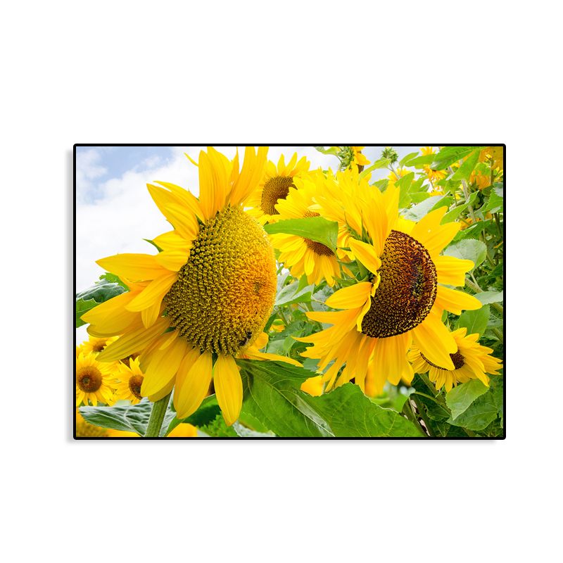 Modern Photographs Sunflower Art Print Bright Textured Wall Decor for Kids Bedroom