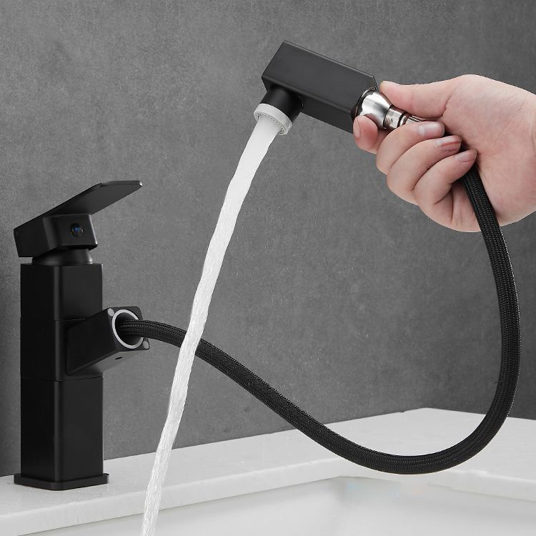 Modern Bathroom Vessel Faucet Swivel Spout Single Handle Faucet with Pull down Sprayer