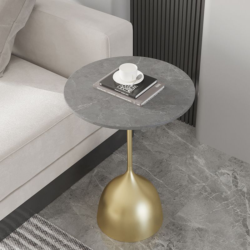 Contemporary Side Table Metal Pedestal Tray Top End Table for Living Room