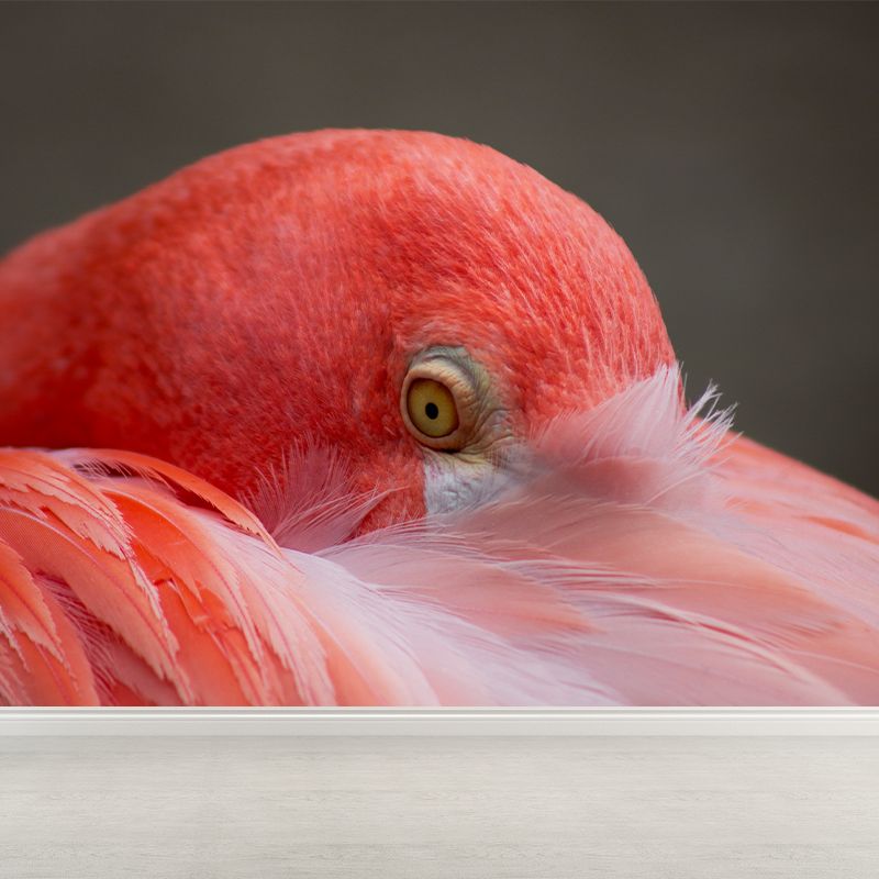 Tropical Flamingo Wall Mural Customized Waterproofing Wall Covering for Living Room