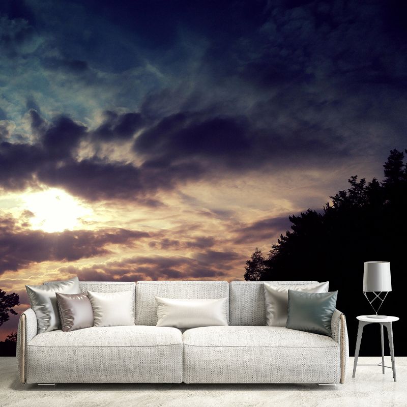 Contemporary Style Cloudscape Mural Mildew Resistant Wall Covering for Room Decor