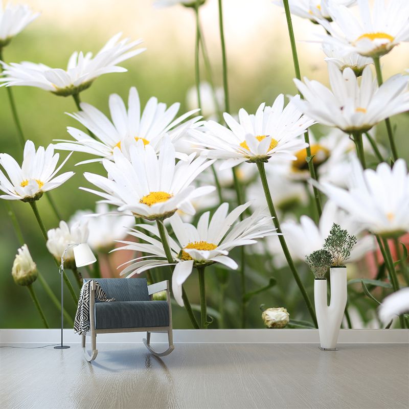 Customized Chamomile Flower Wall Mural Horizontal Photography for Sleeping Room Decoration