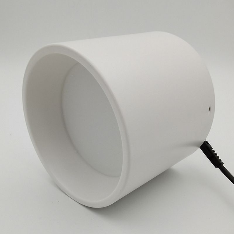 Cylinder Shape Ceiling Lamp Modern Aluminium 1 Light Flush Mount for Supermarket Mall