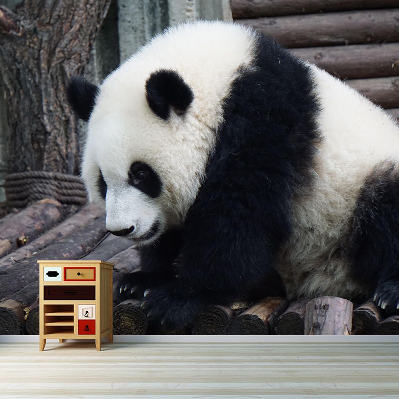 Customized Panda Wall Mural Contemporary Photography for Bedroom Living Room