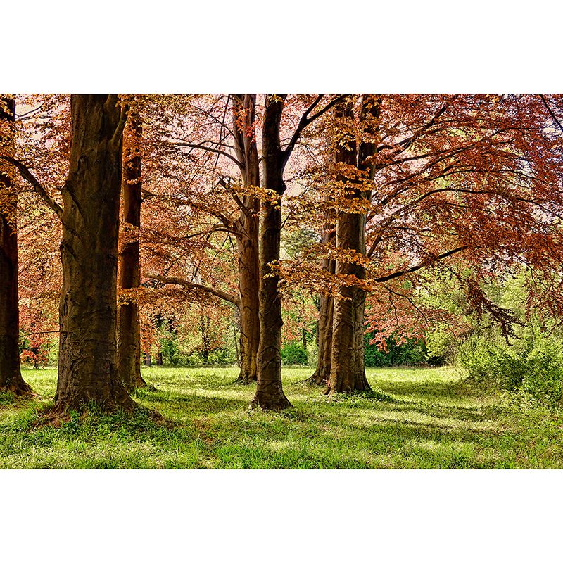 Stain Resistant Plants Wall Mural Photography Modern for Accent Wall