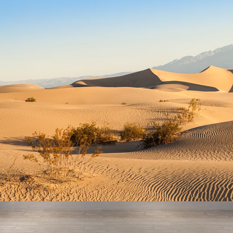 Desert Plants Wall Mural Decal Modern Non-Woven Material Wall Decor in Yellow for Home