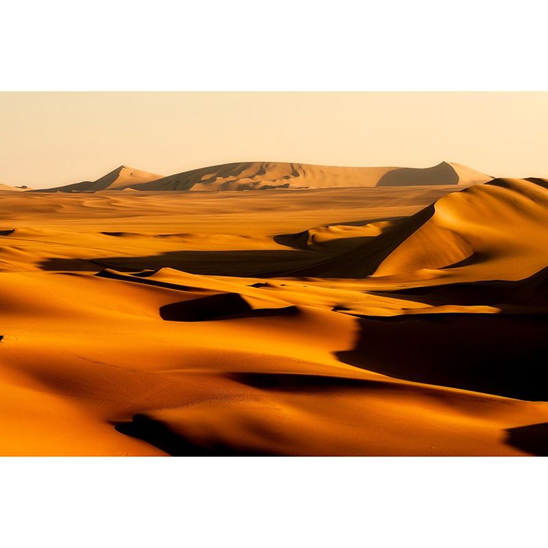 Washable Stain Resistant Mural Wallpaper Desert Indoor Wall Mural