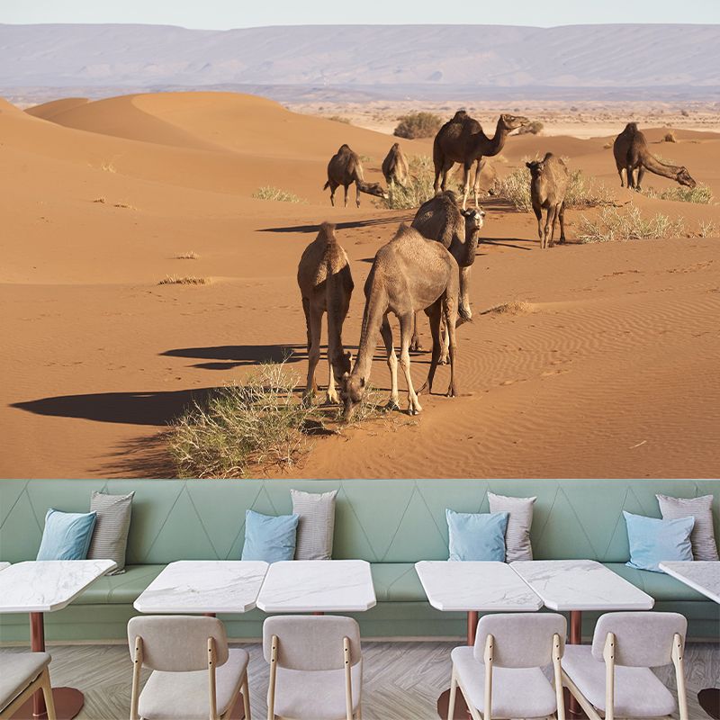 Camel Animal Murals Decal Washable Stain Resistant, Bedroom Wall Decoration