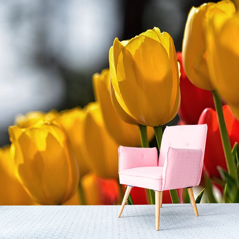 Tulip Flower Mural Wallpaper Minimalist Wall Decor, Customized Size Available