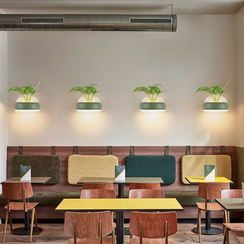 Modern Creative Plant Wall Sconce Light Glass Pot with Acrylic LED Wall Mount Lamp