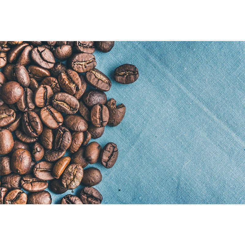 Photography Coffee Bean Wall Decal Modern Style Coffee Shop Decor Mural Wallpaper