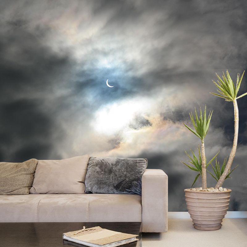 Mildew Resistant Sky Mural Contemporary Sleeping Room Wall Mural