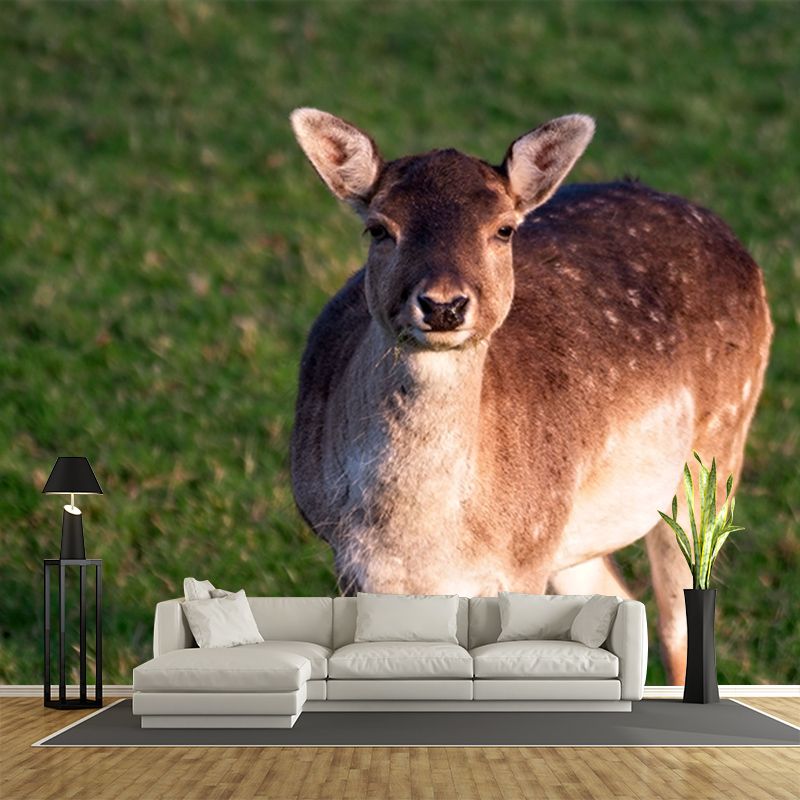 Modern Deer Animal Wall Mural for Living Room Bedroom, Removable, Customized Size