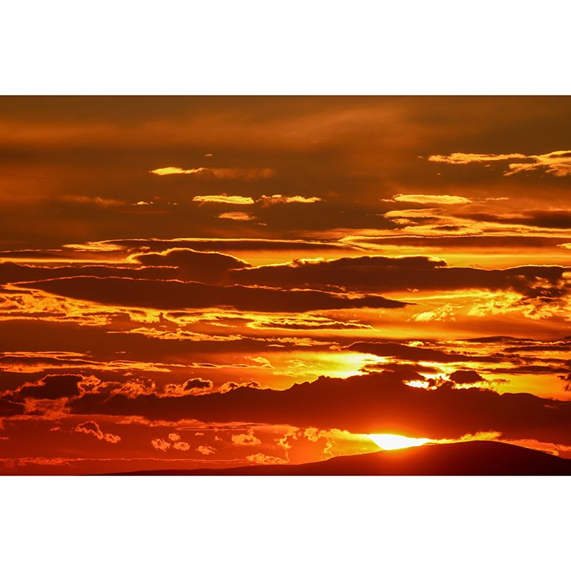 Orange Sunset Mural Modern Wall Covering Stain Resistant, Made to Measure