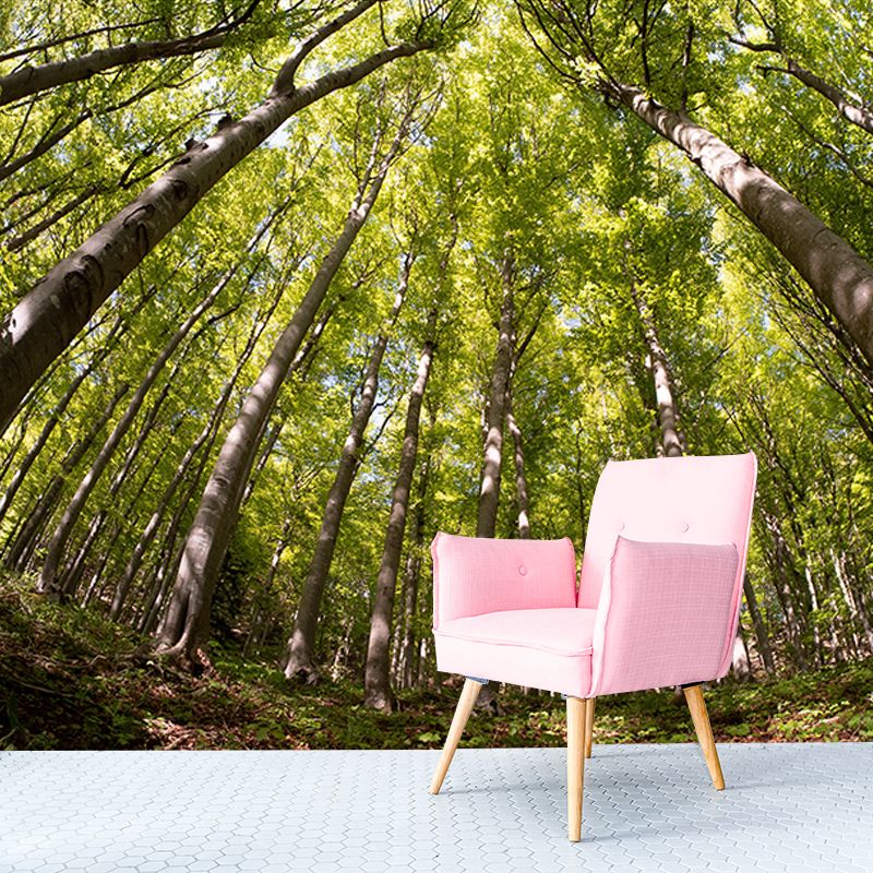 Nature Wall Mural Forest Landscape Mildew Resistant Wall Decor, Personalized Size