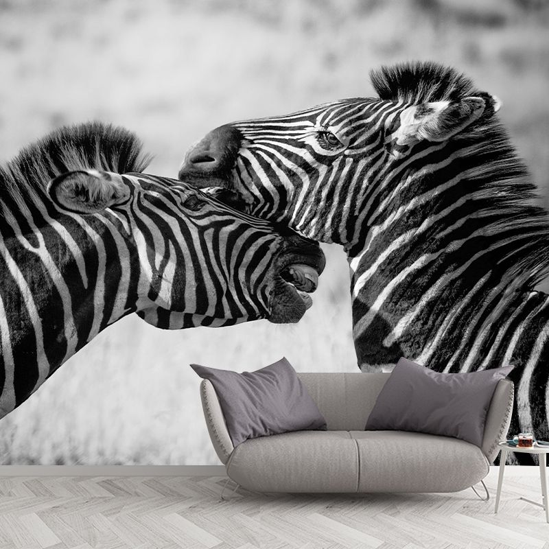Contemporary Zebra Wall Mural Black and White Decorative Wall Covering for Living Room