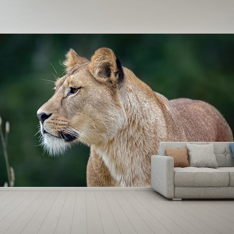 Lion Jungle Animal Mural Decal Contemporary Wall Decor for Bedroom, Stain-Resistant