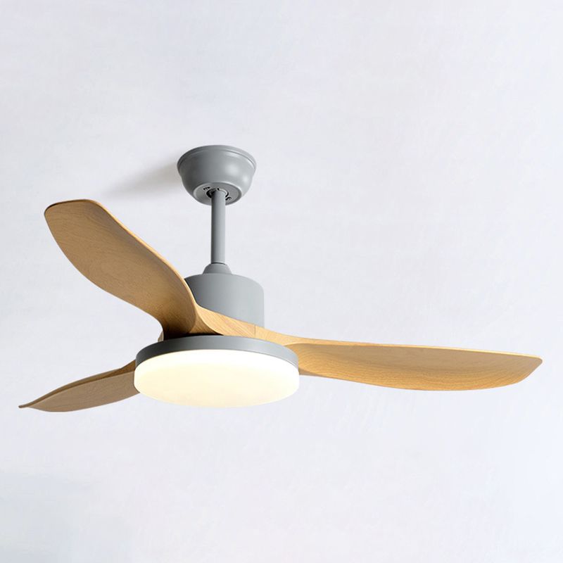 1 - Light Contemporary Ceiling Fan 3 - Blades Fan Light for Room