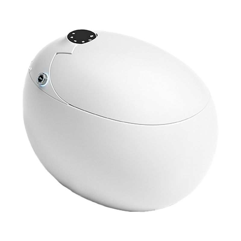 Contemporary 1-Piece Bidet Toilet Floor Mounted Round Toilet Bowl for Washroom