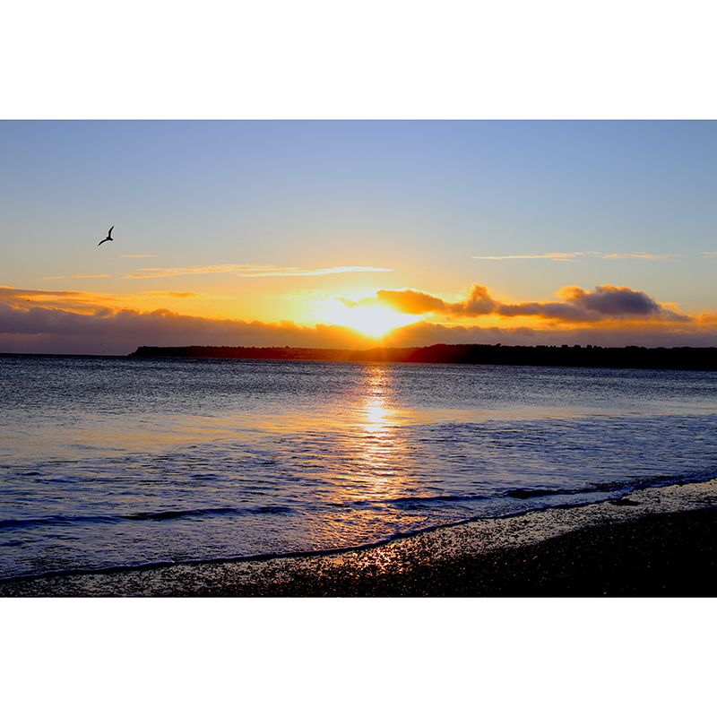 Sea Beach Photography Mural Wallpaper Environment Friendly Living Room Wall Mural