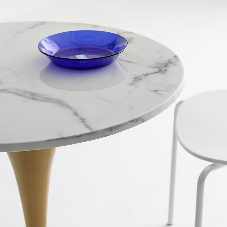 Metal Modern Round Dining Table Marble Top Indoor Table with Tulip Base