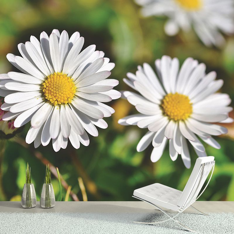 Modern Daisy Mural Wallpaper Stain Resistant Wall Covering for Living Room