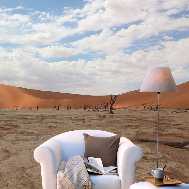 Contemporary Photography Style Desert Mural Wallpaper Mildew Resistant Wall Art