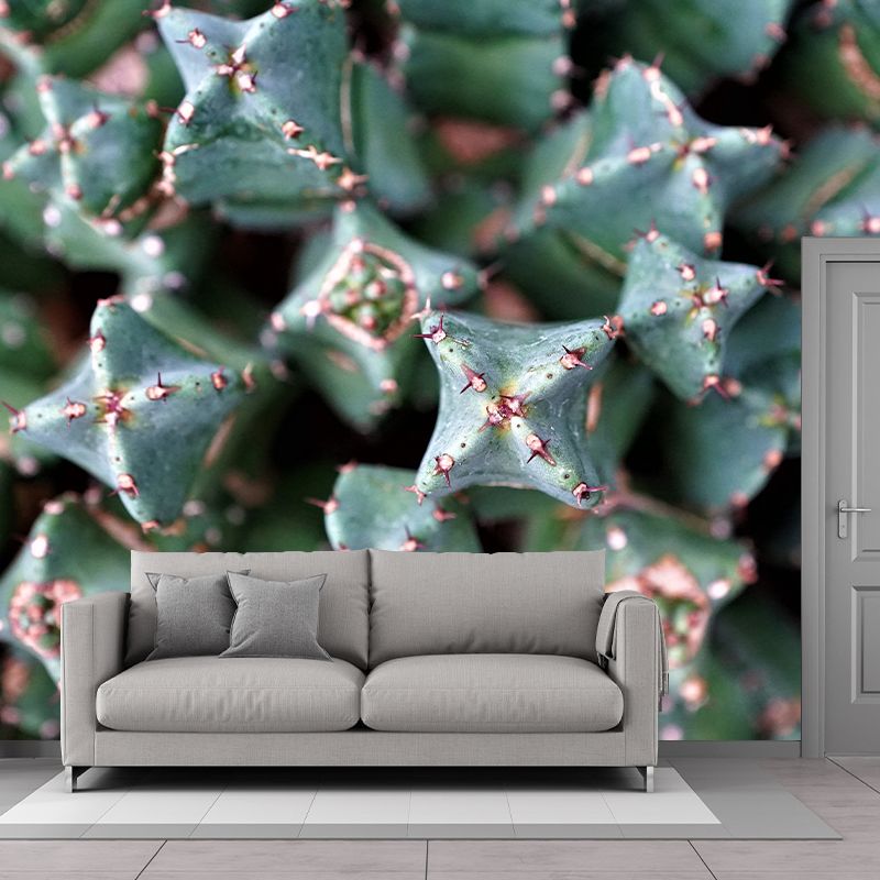 Decorative Wall Mural Cactus Printed Sitting Room Wall Mural
