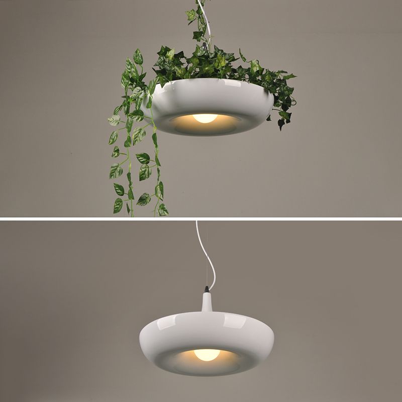 Industriële verfrissende planten hanglampen plafondlampen creatief een enkele licht hanglamp voor coffeeshop