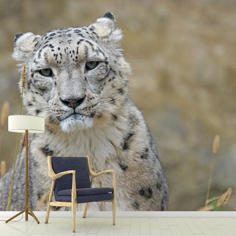 Leopard Mural Wallpaper for Sitting Room Decor Multiple Sizes Available