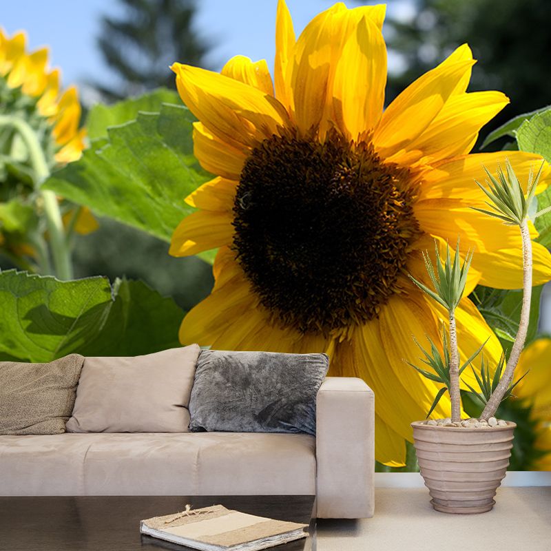 Sunflower Flower Mural Wallpaper for Bedroom Decorative Wall Art, Personalized Size