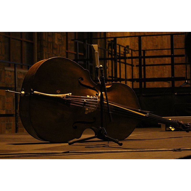 Minimalism Style Guitar Musical Instrument Wall Mural for Playroom, Water Resistant