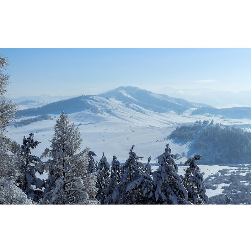 Snow Mountain Wall Mural Wallpaper Modern Style Mildew Resistant for Decoration