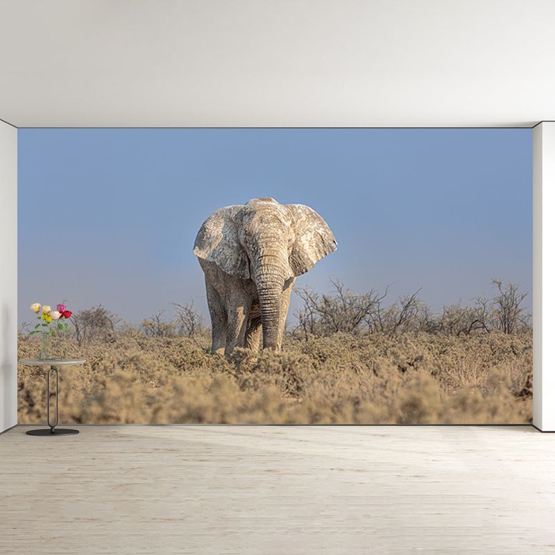 Elephant Animal Wall Covering for Home Decoration Waterproofing, Made to Measure