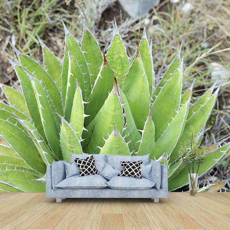 Tropical Plants Mural Wallpaper Moisture-Resistant Wall Covering for Bedroom