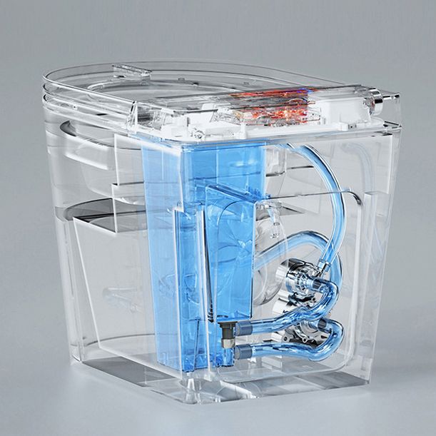 Contemporary One Piece Toilet White Urine Toilet for Bathroom