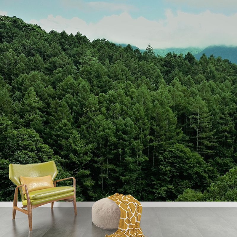 Modern Style Forest Wall Mural Wallpaper Photography Mildew Resistant Wall Covering