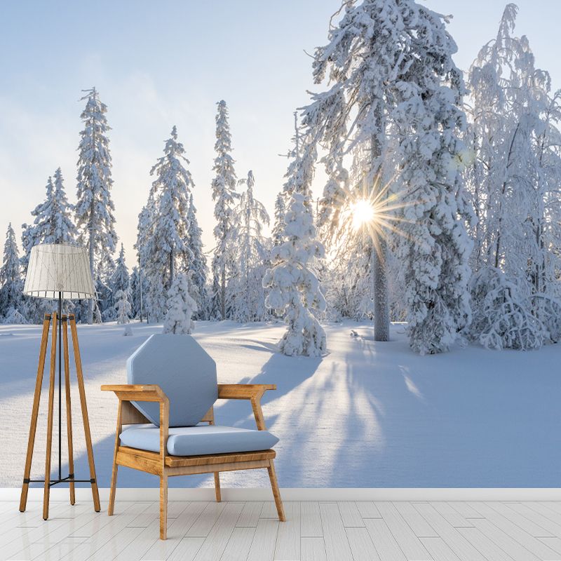 Winter Forest Mural Wallpaper Modern Decorative Washable, Custom Size Available