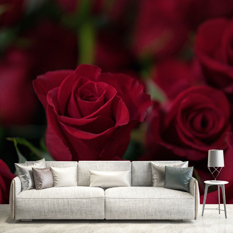 Photography Wall Mural Wallpaper Elegant Rose Sitting Room Wall Mural