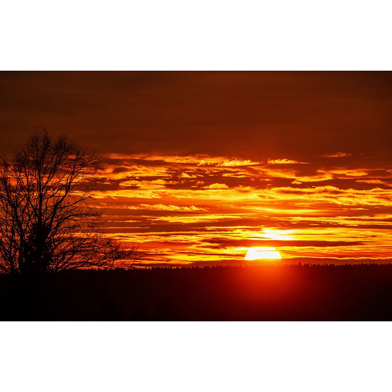 Sunset Clouds Mural Modern Moisture Resistant Bedroom Wall Art, Custom Print