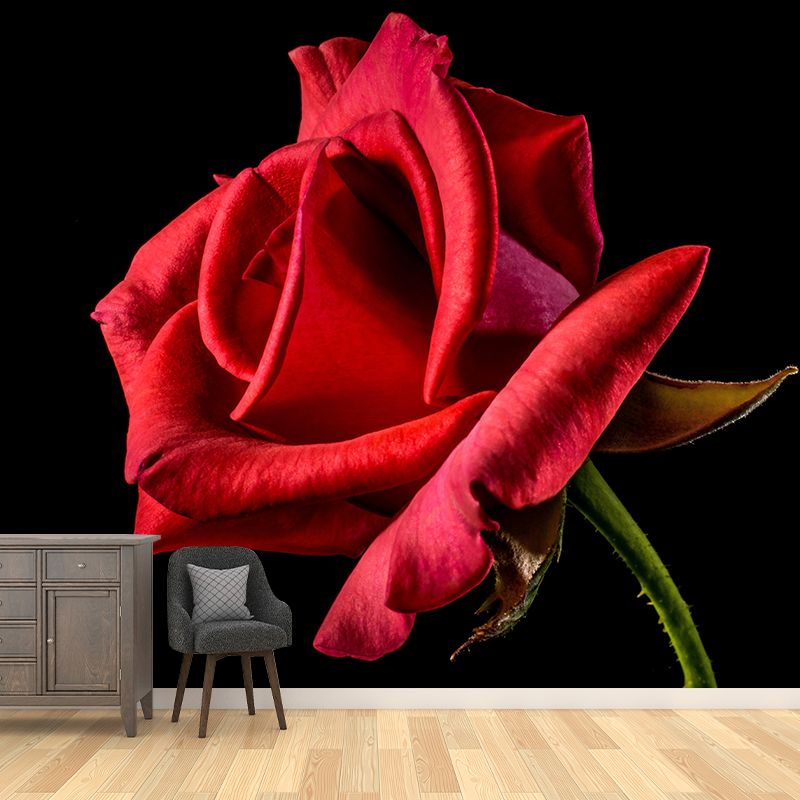 Soft Color Rose Flower Wall Mural Stain Resistant Wall Art for Living Room