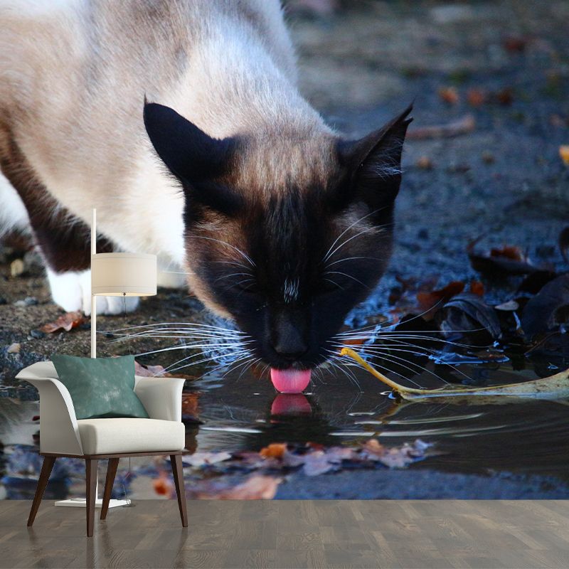 Customized Siamese Cat Wall Mural Horizontal Photography for Sleeping Room Decoration