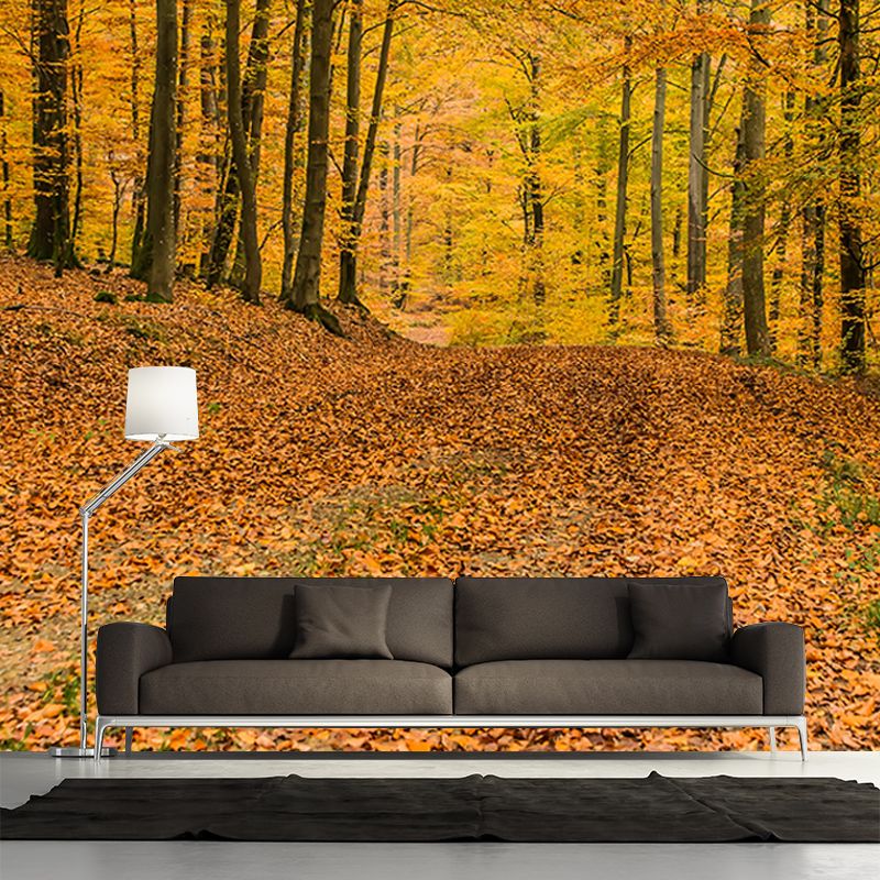 Autumn Forest Mural Wallpaper Stain Resistant for Living Room, Custom Size Available