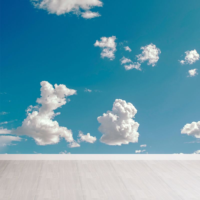 Photography Good Weather Wallpaper Mural Moisture Resistant Wall Covering for Decoration