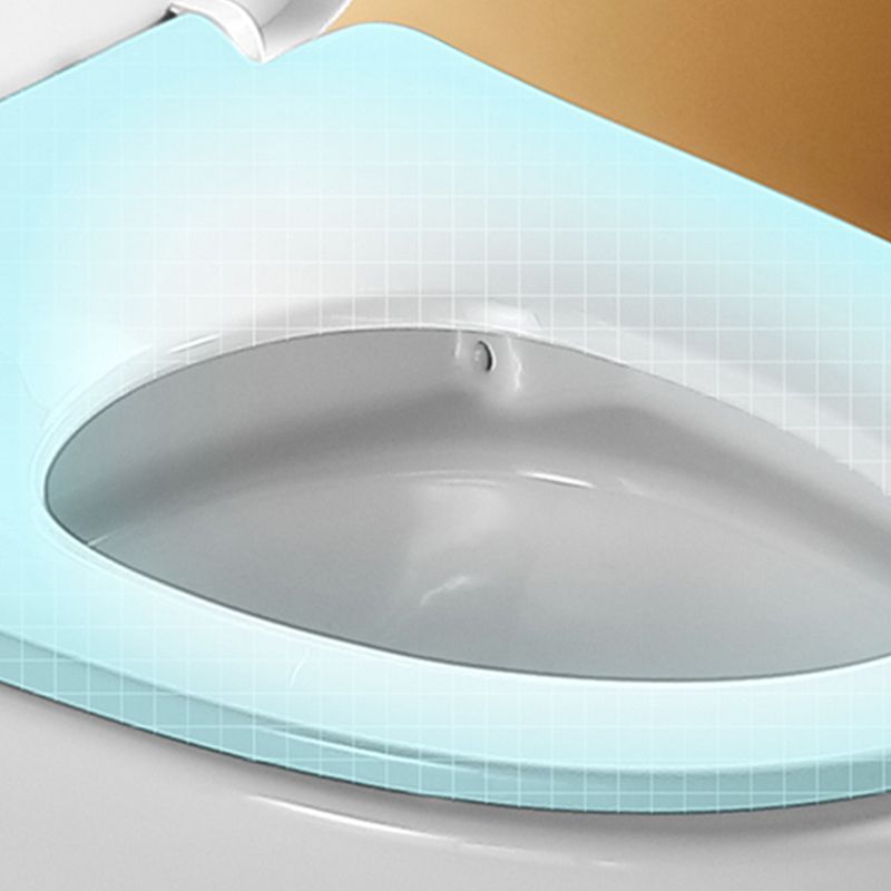 Traditional Flush Toilet Floor Mounted One-Piece Toilet Porcelain Toilet Bowl