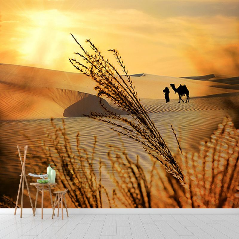 Beautiful Photography Mural Wallpaper Desert Environment Friendly Indoor Wall Mural